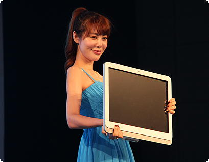 HP Slate 21