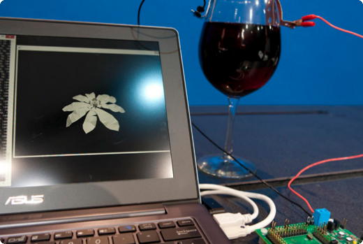 Intel wine