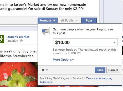 Facebook Promoted Posts