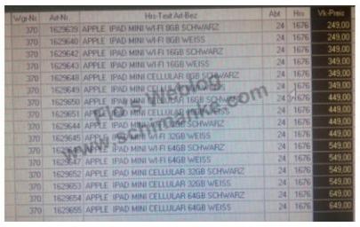 Mini iPad