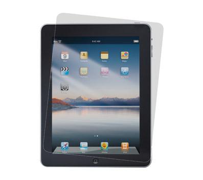 iPad Privacy Screen