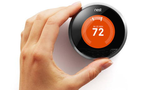 nest