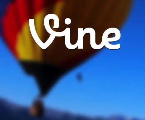 vine