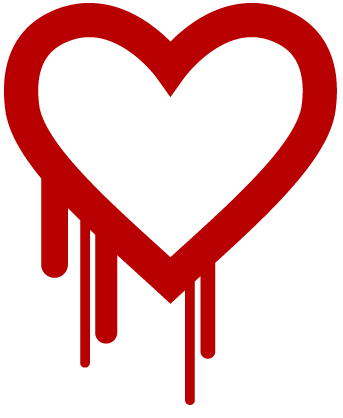 Heartbleed bug