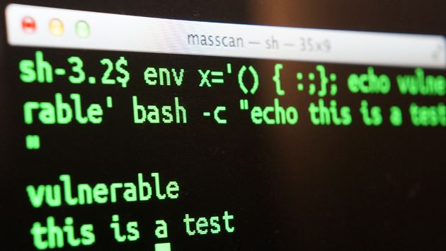 bash vulnerabilidade