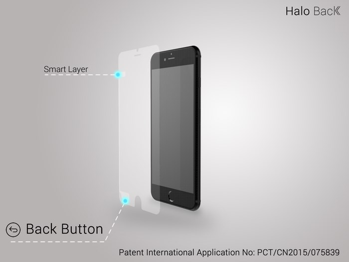 holo back