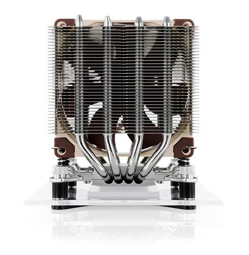 noctua