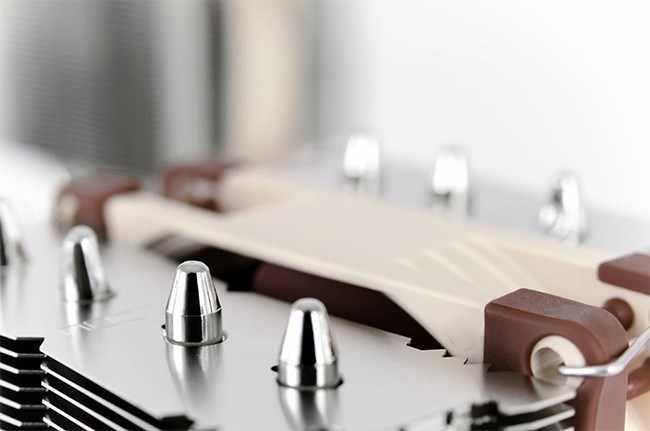 noctua