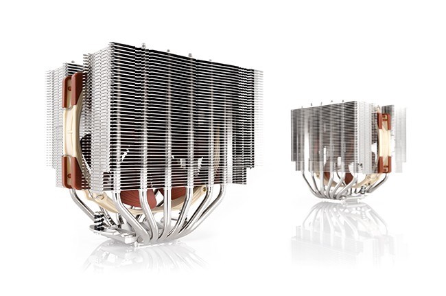 noctua