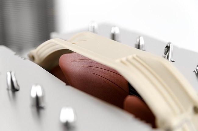 noctua