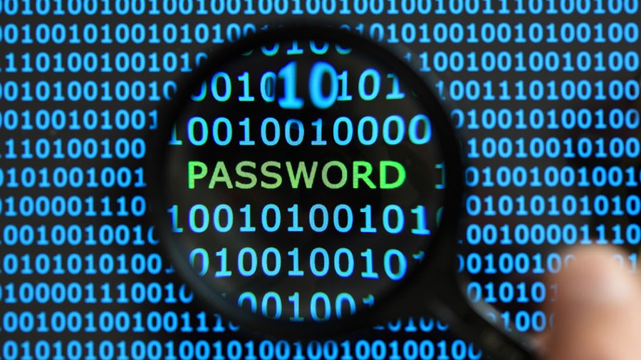 password segura