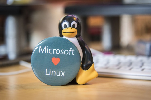 linux e Microsoft