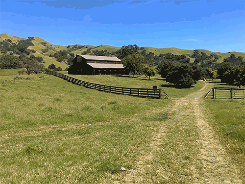 Animação do Motion Stills